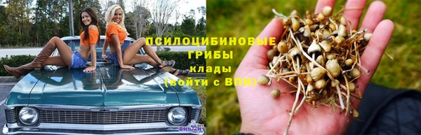 каннабис Алзамай