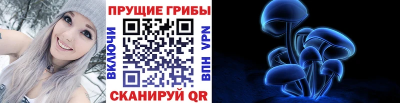 Галлюциногенные грибы GOLDEN TEACHER  закладки  Вихоревка 